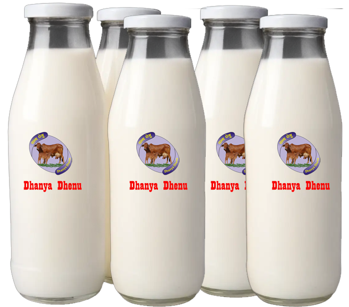 pure cow milk ranipokhari rishikesh dehradun